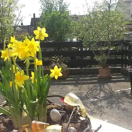 Eulennest-Lu Appartement Ludwigshafen am Rhein Buitenkant foto