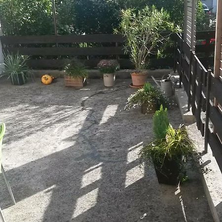 Eulennest-Lu Appartement Ludwigshafen am Rhein Buitenkant foto